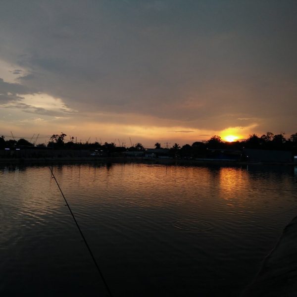 Kolam Pancing Teluk Jawa